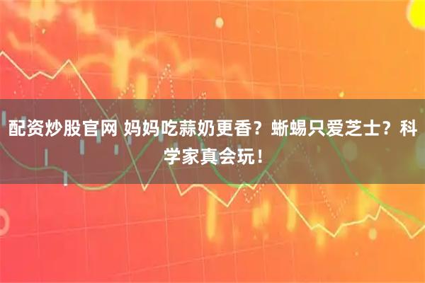 配资炒股官网 妈妈吃蒜奶更香？蜥蜴只爱芝士？科学家真会玩！