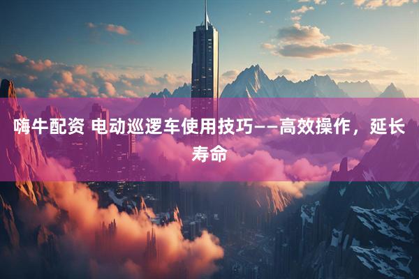 嗨牛配资 电动巡逻车使用技巧——高效操作，延长寿命