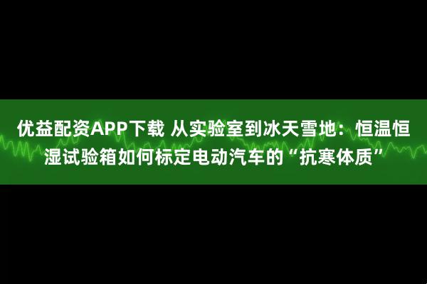 优益配资APP下载 从实验室到冰天雪地：恒温恒湿试验箱如何标定电动汽车的“抗寒体质”