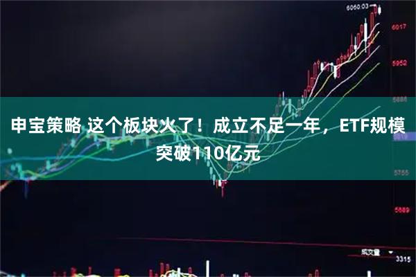 申宝策略 这个板块火了！成立不足一年，ETF规模突破110亿元