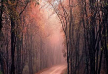 股票交易员是怎么炒股的:股市行情资讯配资平台-高盛上调寒武纪12个月目标价至2104元